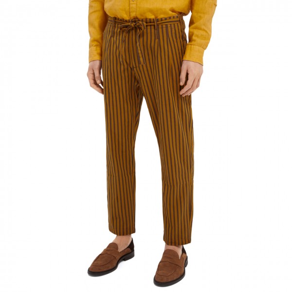 Striped Cotton Chino With Pleats, Brown