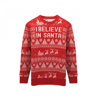 Heron Believe Santa sweater