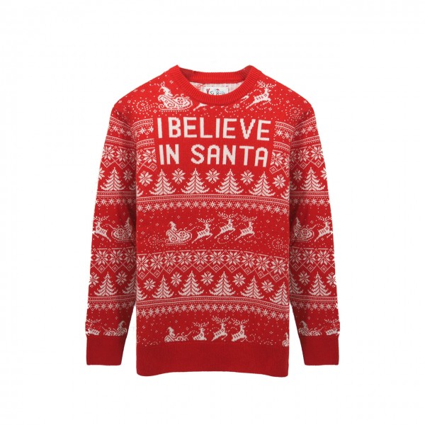 Heron Believe Santa sweater